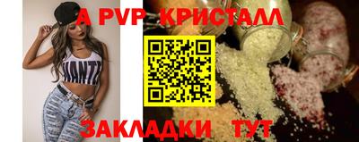 крисы Камышлов