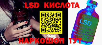 индика Кандалакша