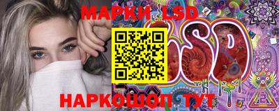 крисы Камышлов