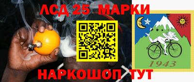крисы Камышлов