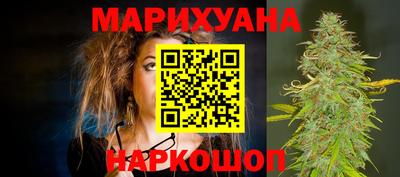 индика Кандалакша