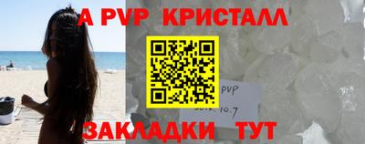 крисы Камышлов